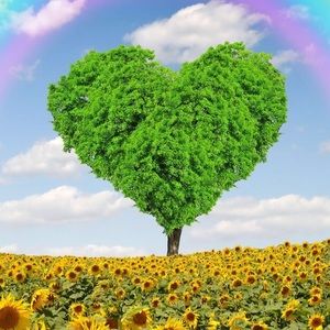 POSH COMPLIANT ✅NEGOTIATE ❎TRADE OR PAYPAL